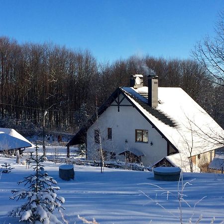 Dolyna Mykolaya Villa Migovo Exteriör bild