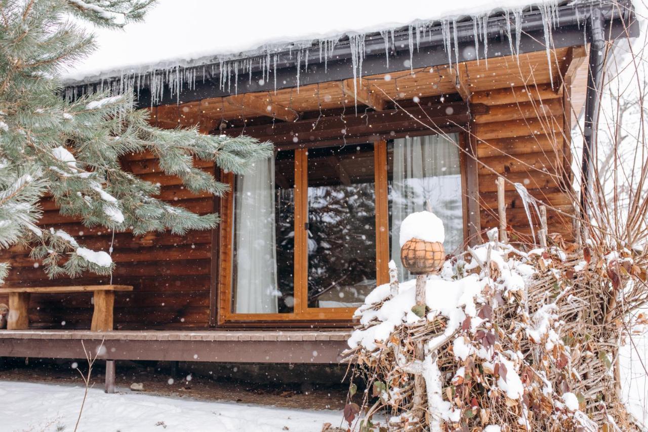 Dolyna Mykolaya Villa Migovo Exteriör bild