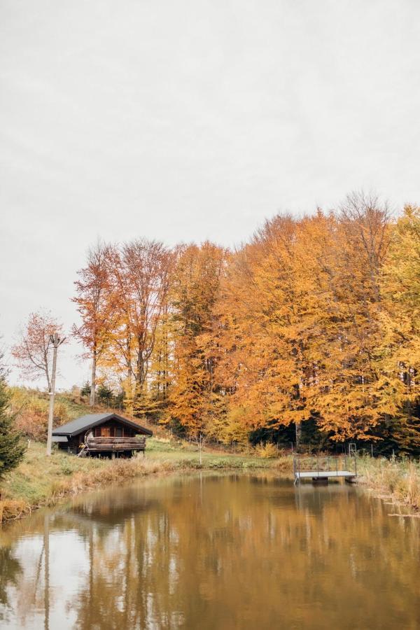 Dolyna Mykolaya Villa Migovo Exteriör bild