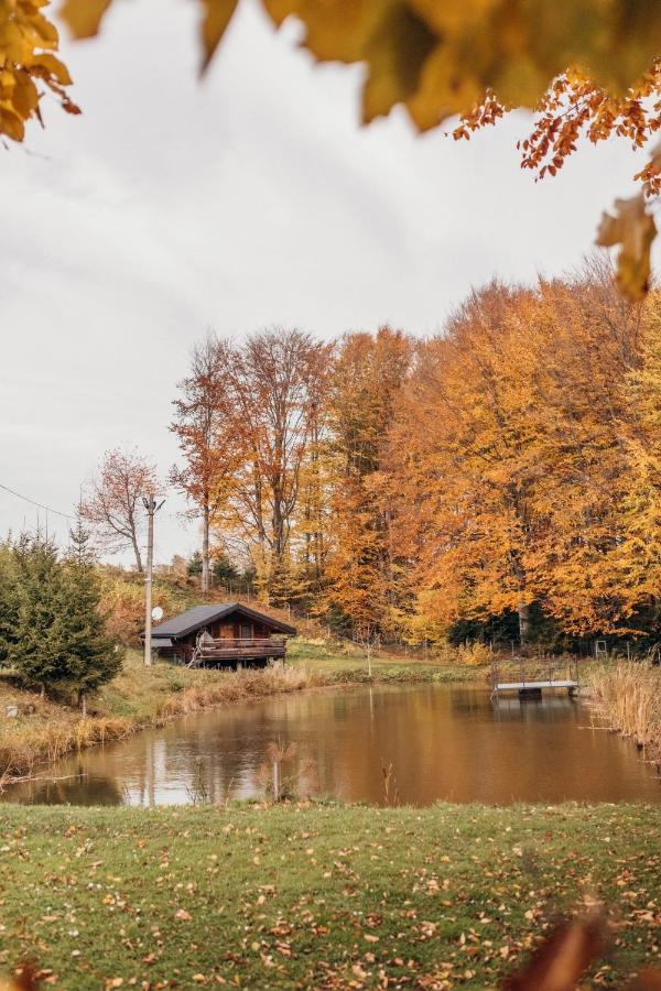 Dolyna Mykolaya Villa Migovo Exteriör bild