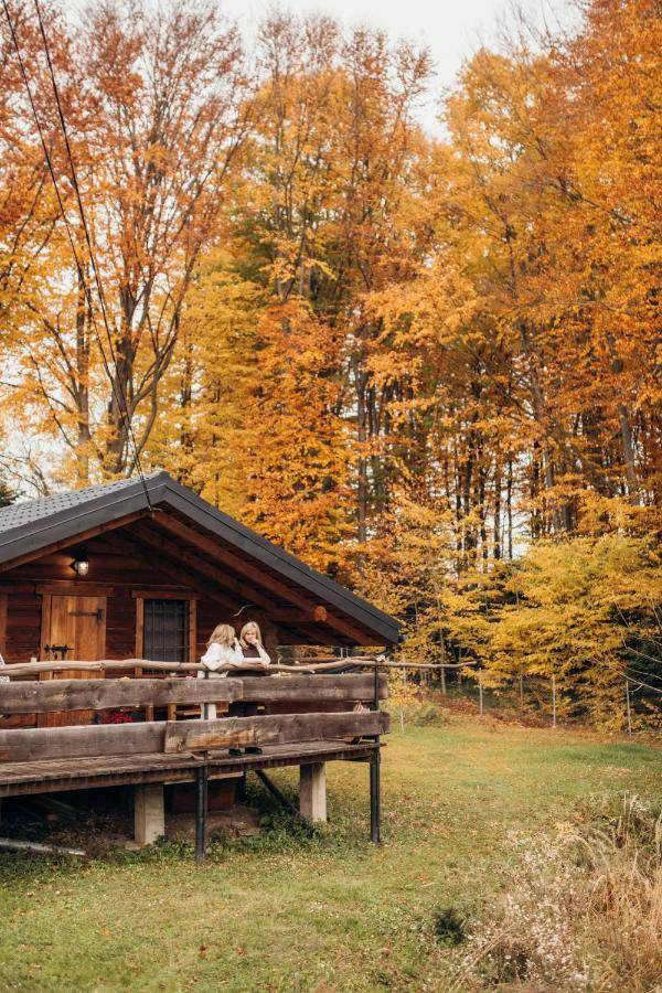 Dolyna Mykolaya Villa Migovo Exteriör bild