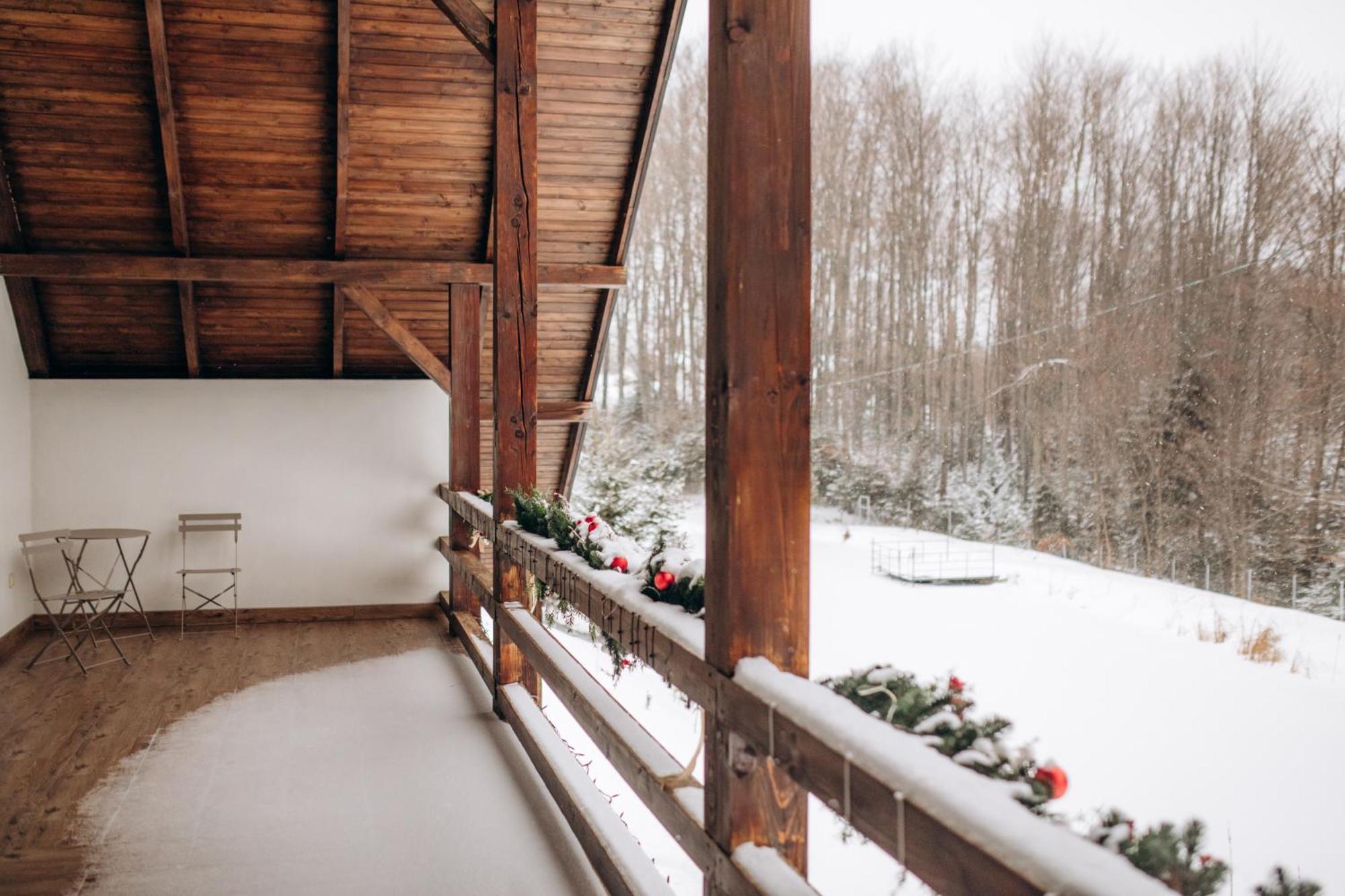 Dolyna Mykolaya Villa Migovo Rum bild
