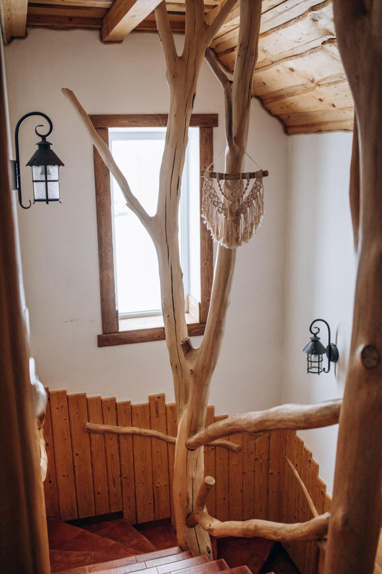 Dolyna Mykolaya Villa Migovo Rum bild