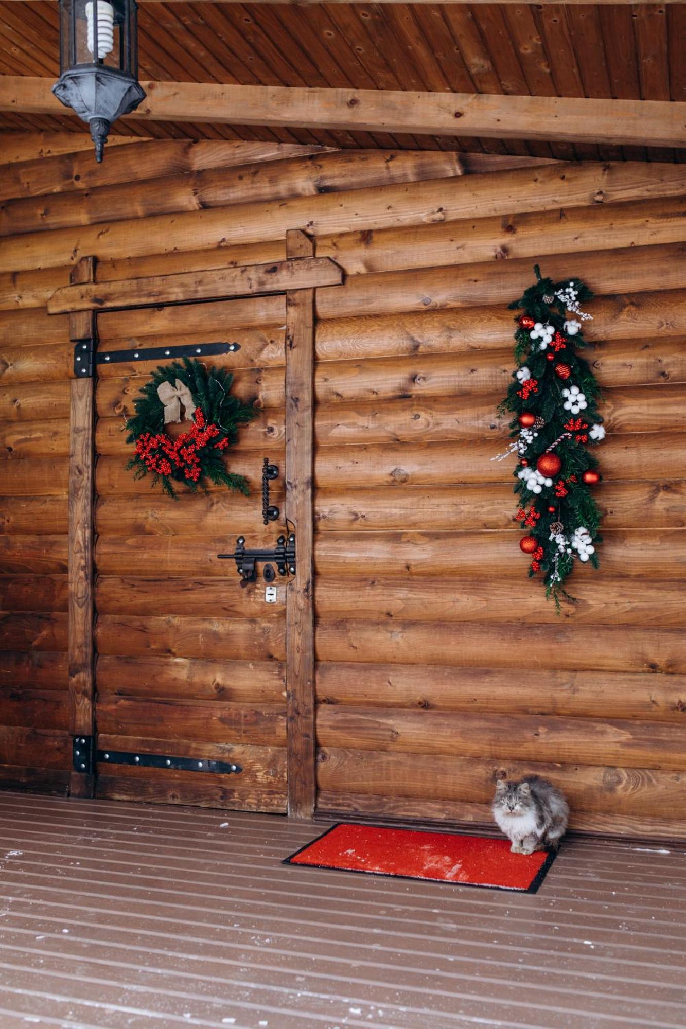 Dolyna Mykolaya Villa Migovo Rum bild
